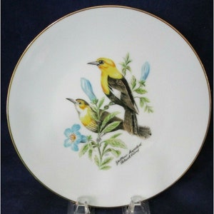 Yellow Headed Blackbird Pair Bareuther Waldsassen #144 Plate Gold Rim Bavaria