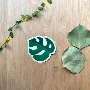 Monstera Clear Vinyl Sticker