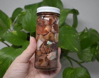 Raw Mexican Fire Opals natural shine raw chunks in water glass jar