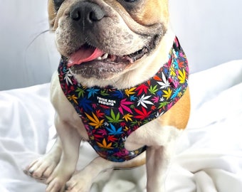 Marijuana Dog harness, soft dog harness, dog harness and leash set, neoprene dog harness, adjustable dog harness, washable dog harness