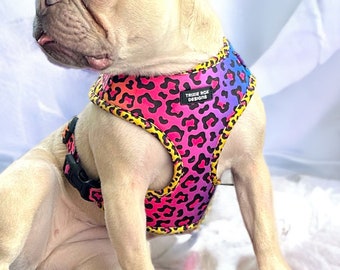 Cheetah print Dog harness, soft dog harness, dog harness and leash set, neoprene dog harness, adjustable dog harness, washable dog harness