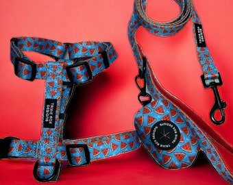 Watermelon dog harness, dog harness and leash set, adjustable washable dog harness, nylon dog harness, pet halter, girl dog harness