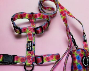 Bright Floral dog harness, dog harness and leash set, adjustable washable dog harness, nylon dog harness, pet halter, girl dog harness