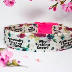 Have an attitude dog collar, funny dog collar, floral dog collar, girl dog collar, washable collar, adjustable, quick release dog collar