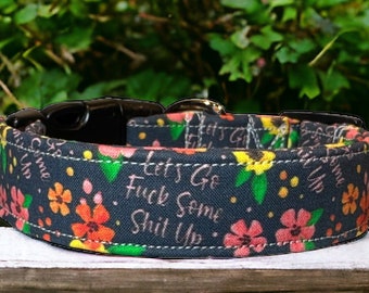 Lets go fuck some shit up dog collar, girl dog collar, funny dog collar, obscene dog collar, side release, adjustable, handmade dog collar