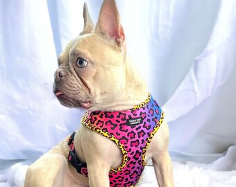 Cheetah print Dog harness, soft dog harness, dog harness and leash set, neoprene dog harness, adjustable dog harness, washable dog harness