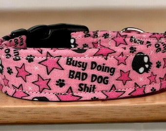 Doing bad dog shit dog collar, funny dog collar, obscene dog collar, adjustable washable collar, side release collar, handmade dog collar