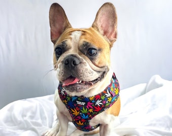 Neoprene soft harness