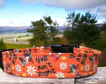 Y’all ain’t right dog collar, funny dog collar, handmade dog collar, side release adjustable collar, dog collar, orange dog collar, washable