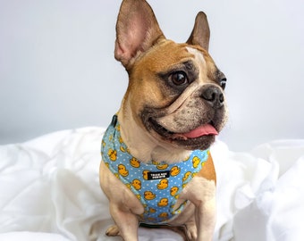 Rubber Duck Dog harness, soft dog harness, dog harness and leash set, neoprene dog harness, adjustable dog harness, washable dog harness