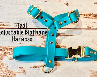 turquoise dog harness