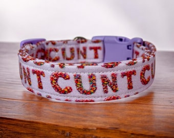 See you next Tuesday dog collar, dog collar, handmade side release collar, funny dog collar, custom dog collar, washable adjustable collar