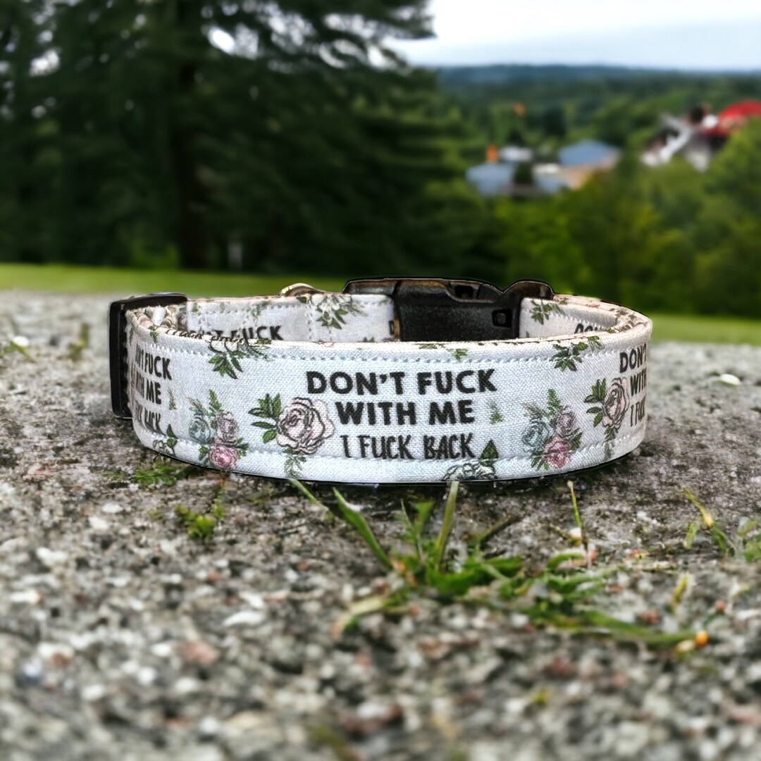 Dont Fuck With Me Dog Collar, Funny Dog Collar, Swear Floral Dog Collar