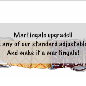Martingale Dog Collar Upgrade: Gentle Choke, Buckle-less