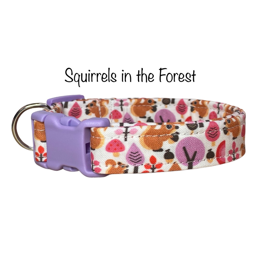 Dog Collar, Cat Collar, Squirrels, Side Release Collar, Washable Collar, Fabric Dog Collar