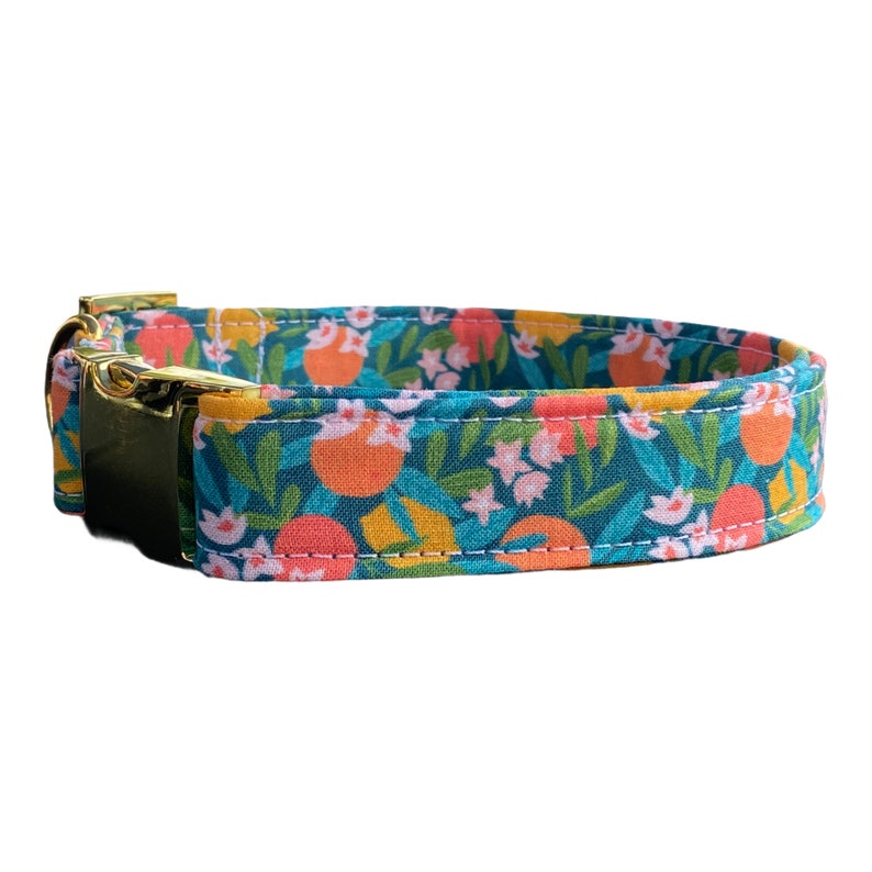 Peut inclure: Un collier pour chien bleu sarcelle avec un motif floral compos&eacute; de fleurs roses, de feuilles vertes et d'agrumes orange.