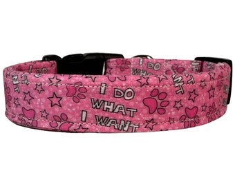 I do what I want dog collar, funny dog collar, obscene dog collar, adjustable washable collar, side release dog collar, handmade dog collar