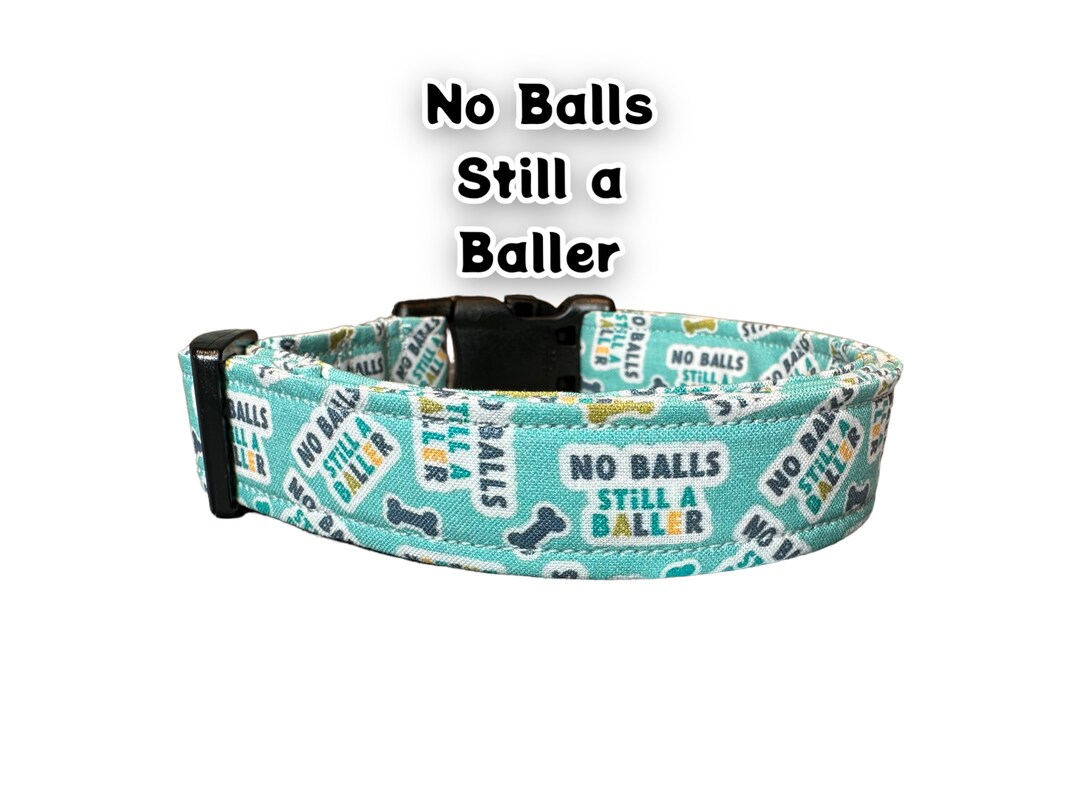 Funny Dog Collar, Collar for Dogs, Handmade Dog Collar, No Balls Still a Baller, Washable Dog