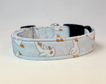 Animal Collars
