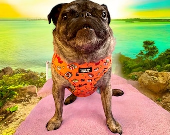 Sushi Dog harness, soft dog harness, dog harness and leash set, neoprene dog harness, adjustable dog harness, washable dog harness, handmade