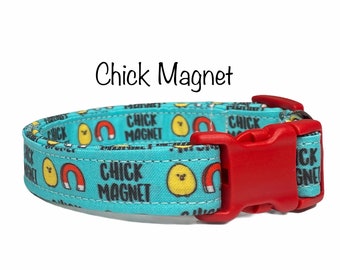 Chick magnet dog collar, dog collar, eco friendly dog collar, chick magnet, fabric dog collar, funny dog collar, blue collar, boy collar