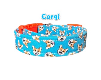 Corgi dog collar, funny dog collar, adjustable dog collar, side release collar, washable dog collar, fabric dog collar, blue, orange, corgi