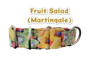 Fruit Salad martingale dog collar, martingale dog collar, buckle-less dog collar, training dog collar, girl dog collar, boy dog collar