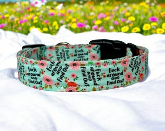Fuck around and find out Dog collar, handmade side release dog collar, girl dog collar, dog collar, custom dog collar, washable, adjustable