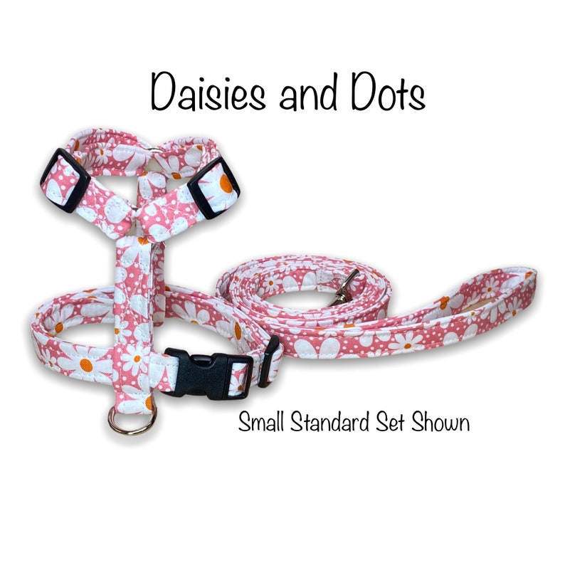 daisy dog harness