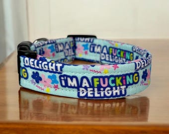 I’m a fucking delight dog collar, dog collar, handmade side release dog collar, funny dog collar, custom dog collar, washable, adjustable