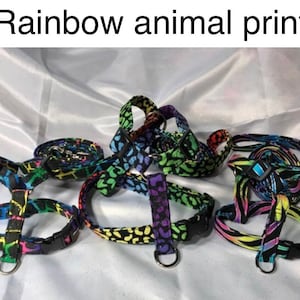 Rainbow Animal Print Dog Harness and Leash Set