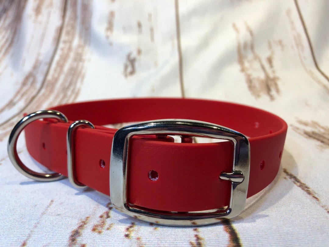 Biothane Dog Collar, Red Dog Collar, Dog Collar, Buckle Dog Collar
