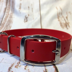 Red Biothane Dog Collar: Waterproof Buckle Collar, Unisex