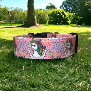 Buy Acorn Dog Collar, Dog Collar, Funny Dog Collar, Nutty Dog ...