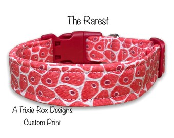 Steak Dog Collar With Red Cotton Print, Adjustable Side-Release Buckle