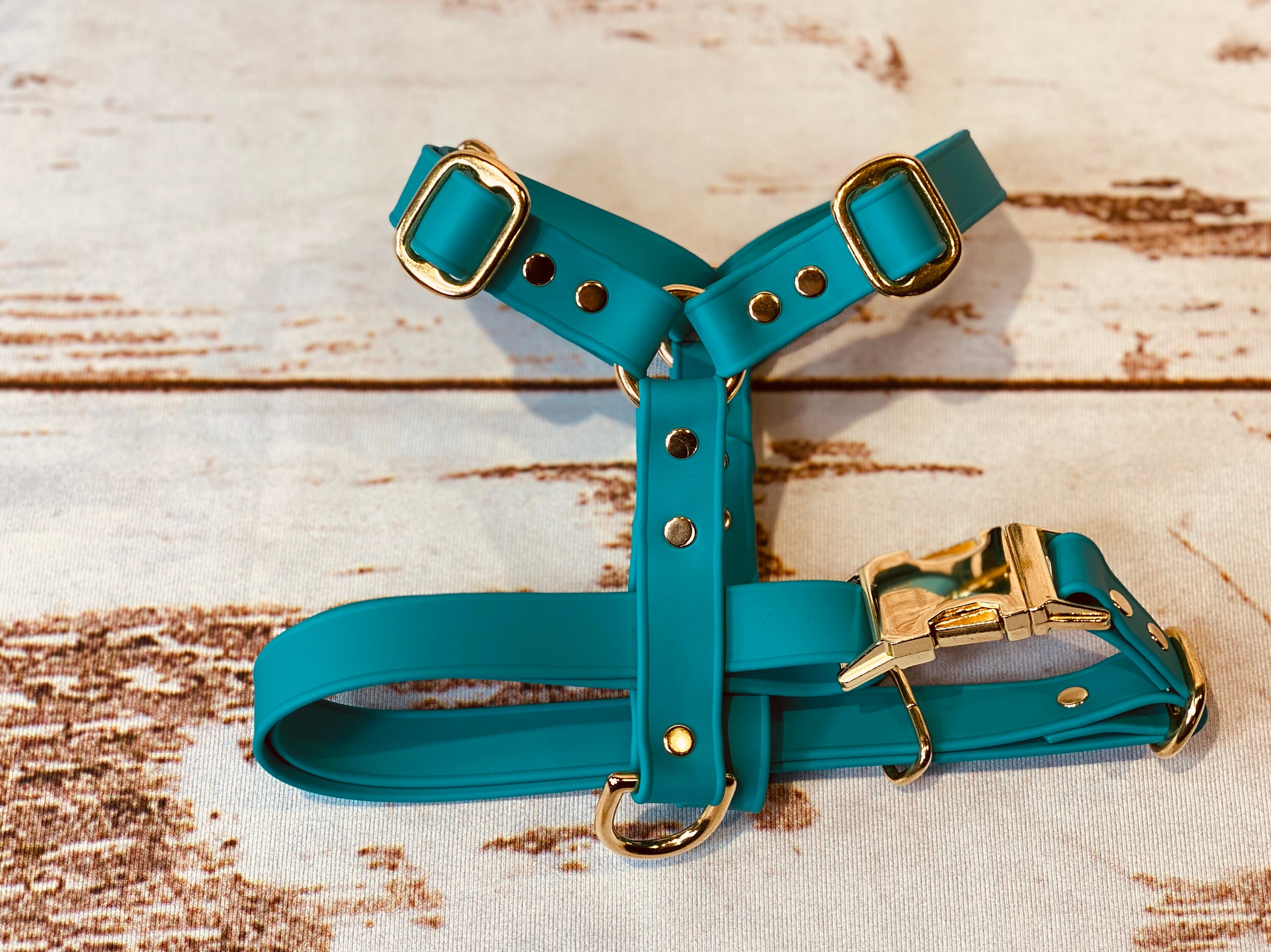 Biothane dog harness adjustable dog harness waterproof dog Etsy