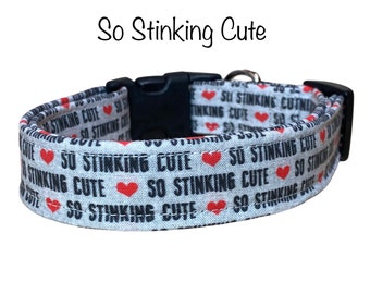 Stinking cute dog collar, cat collar, eco friendly, washable, funny dog collar, adjustable, so stinking cute, cute dog collar, male, female