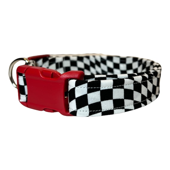 Checkered flag 2025 dog collar