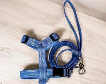 Iridescent dog harness, dog harness and matching leash, dog halter, step in dog harness, standard roman dog harness, handmade dog harness