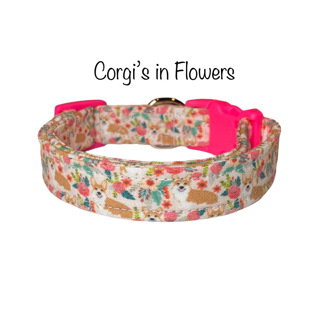 Dog Collar and Flowers Dog Collar Funny Dog Etsy