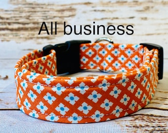 Dog Collar, girl dog collar, boy dog collar, martingale collar, adjustable collar, buckle dog collar, martingale, nylon, orange dog collar