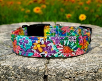 Rainbow floral dog collar, dog collar, handmade side release dog collar, funny dog collar, custom dog collar, washable adjustable dog collar