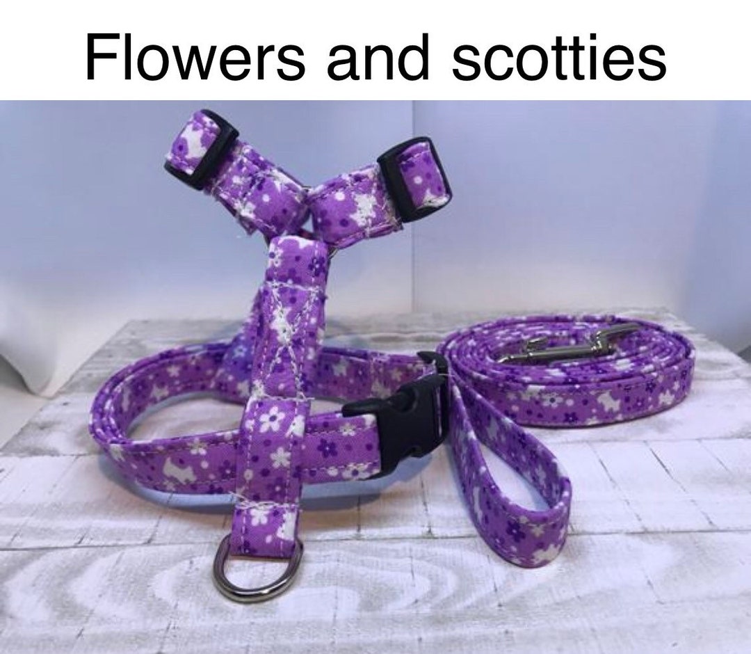 Dog Harness, Harness and Leash, Step in Harness, Standard Harness, Dog