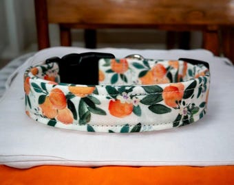 Clementine Dog Collar, Handmade Adjustable dog Collar, Washable Fabric dog collar, Pet Accessory, Custom dog collar, side release collar