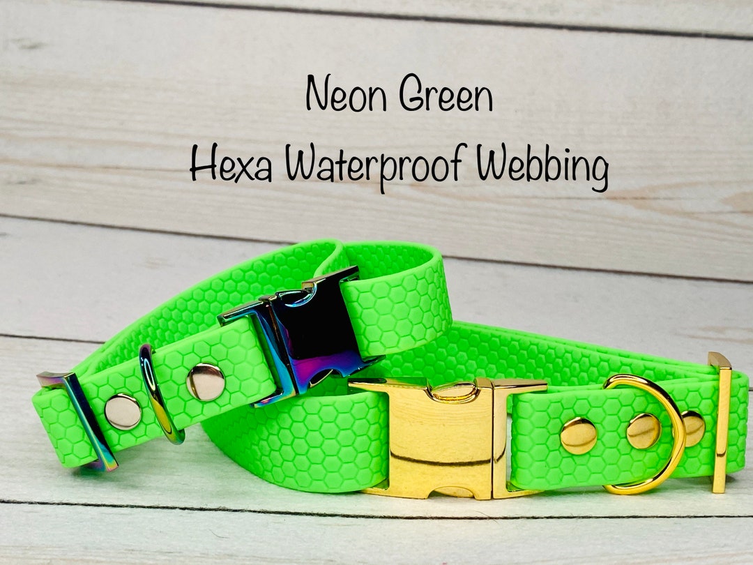 Waterproof Dog Collar Dog Collar Neon Green Dog Collar Etsy