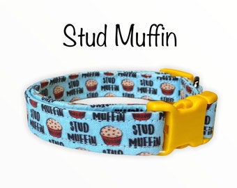 Dog collar, stud muffin dog collar, stud dog collar, fabric dog collar, adjustable, funny dog collar, Stud muffin, cat collar, cute collar