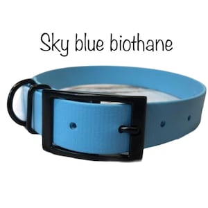 Sky Blue Biothane Dog Collar: Waterproof Buckle Collar, Rose Gold Hardware