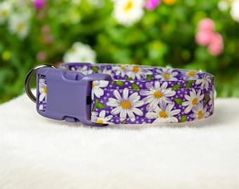 Handmade Purple Daisy Dog Collar: washable fabric side release pet collar, adjustable