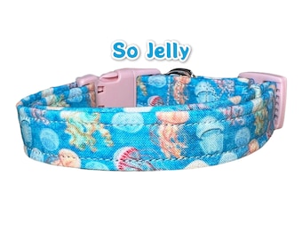 Jelly fish dog collar, dog collar, dog collar boy, dog collar girl, side release dog collar, adjustable dog collar, washable dog collar