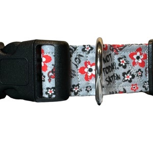 May include: A gray dog collar with a black buckle and silver ring. The collar has a floral pattern with red flowers and the text "Not Today, Satan".